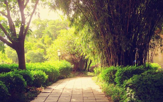 本命年一定要穿红吗?如何化解犯太岁