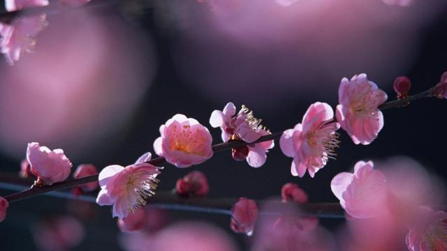 风水上17000吉利吗