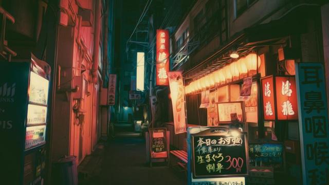 龙血树和风水有关吗