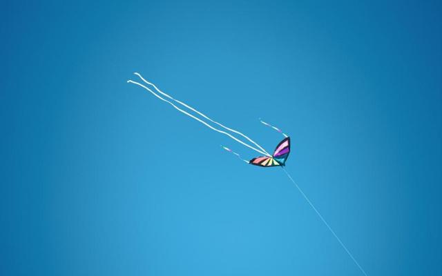 一起学猫叫 十二生肖最喜欢模仿谁